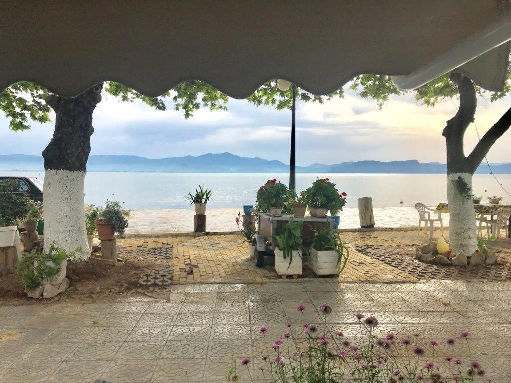 Casa Lela 3...Hydra Lejlighed Míloi Eksteriør billede
